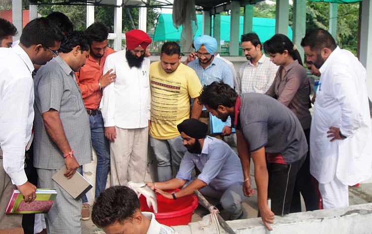 Fish farming training was conclude on 14th August,